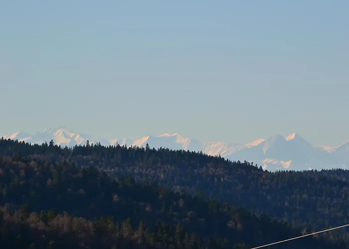 Ferienhaus Fichtenstüble *