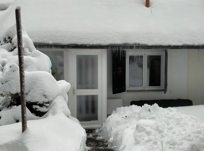 Fichtenstüble Ferienhaus *